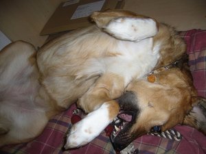 P1070778.JPG P1070778.JPG