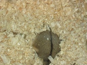 Ich habe keine Lust 037.JPG