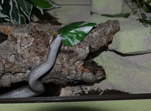 DSC_2434 - Kopie.JPG