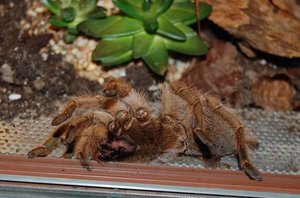 DSC_5340 - Kopie.JPG