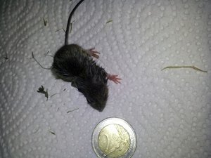 2012-07-08 18.18.01.JPG