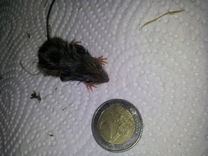 2012-07-08 18.18.06.JPG