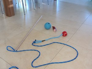 IMG_6907.JPG IMG_6907.JPG