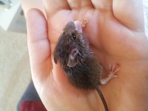 2012-07-09 09.25.38.JPG