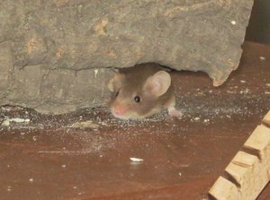 Endlich fertig! 071.JPG