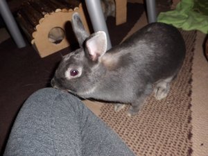 CIMG1729 - Kopie.JPG