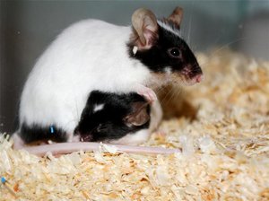 IMG_bearbeitet_2 _7892.jpg