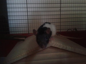 2012-07-05 20.15.49.jpg