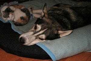 aIMG_9548 - Kopie.jpg