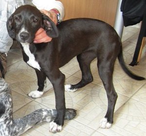 2012_07_07 - Finny 11.JPG