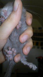 180720121299.jpg 180720121299.jpg