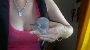 180720121292.jpg 180720121292.jpg