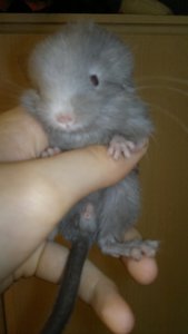 180720121294.jpg 180720121294.jpg