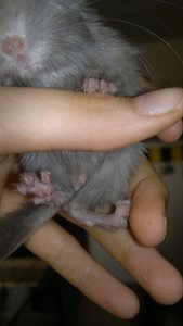 180720121297.jpg 180720121297.jpg