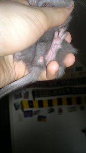 180720121303.jpg 180720121303.jpg