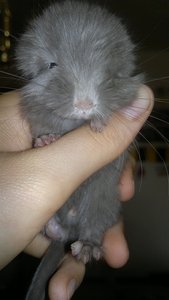 180720121302.jpg 180720121302.jpg