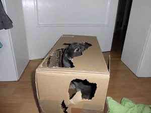 CIMG2758 - Kopie.JPG