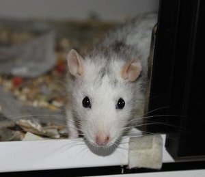 IMG_5822 - Kopie.JPG