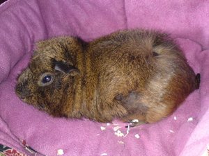 DSC01259 (640x480).jpg DSC01259 (640x480).jpg