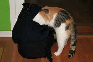 aIMG_9624 - Kopie.jpg