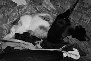 aIMG_9856 - Kopie.jpg