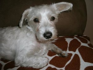 K640_GEDC0576.JPG K640_GEDC0576.JPG