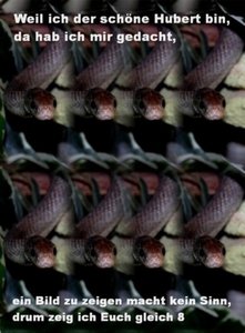 Kopie (2) von Hubert 8.jpg