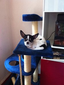 Kopie von 550974_381704181896429_1235430841_n.jpg Kopie von 550974_381704181896429_1235430841_n.jpg