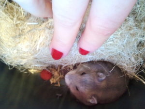 2012-07-18 17.38.30.jpg