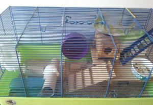 2012-07-22 17.25.05-1.jpg