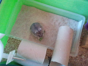 2012-07-22 20.09.15.jpg