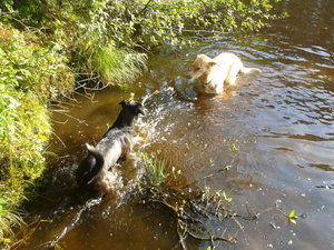 2012-07-24 18.37.51.jpg