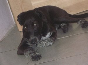 Paul als Baby (3 Monate).jpg