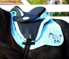 baumloser sattel2.jpg