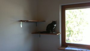 25072012357.jpg 25072012357.jpg