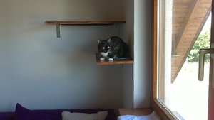 25072012358.jpg 25072012358.jpg