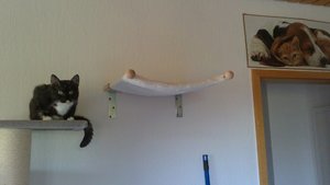 25072012360.jpg 25072012360.jpg