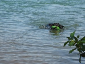 IMG_0983 größe geändert.jpg