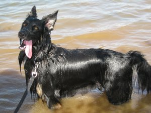 IMG_0969 geändert.jpg