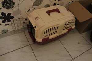 IMG_6998.JPG IMG_6998.JPG