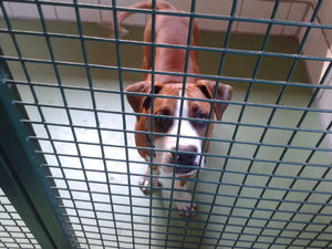 2012-07-26 16.29.38.jpg