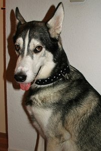 aIMG_0075 - Kopie.jpg