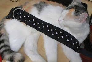 aIMG_0079 - Kopie.jpg