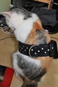 aIMG_0082 - Kopie.jpg