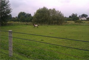 2012-07-28 16.56.57.jpg