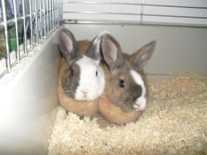 CIMG6021 (Mittel).JPG