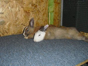 CIMG6358 (Mittel).JPG