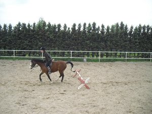 Reiten 025.JPG