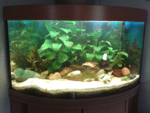 2012-07-30 17.40.49.jpg