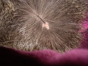 IMGP9432kl.jpg IMGP9432kl.jpg